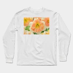 Narcissus  &#39;Vanilla Peach&#39;  Daffodil  Division 11a Split-corona Long Sleeve T-Shirt